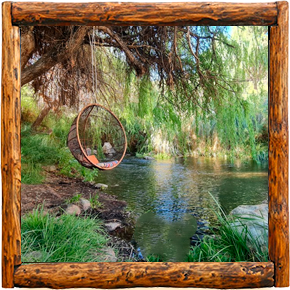 Cabañas Elqui Paraiso