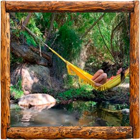 Cabañas Elqui Paraiso