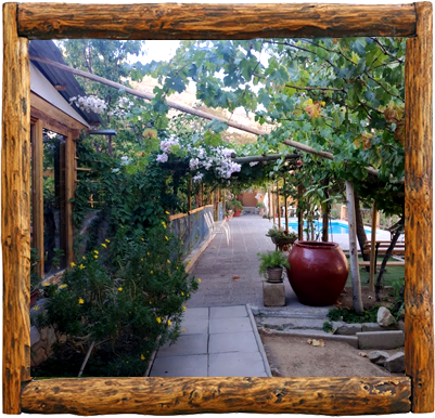 Cabañas Elqui Paraiso