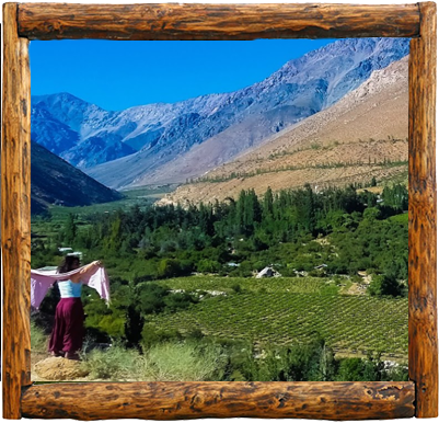 Cabañas Elqui Paraiso