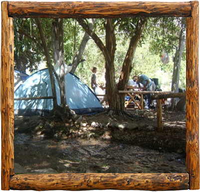 Cabañas Elqui Paraiso