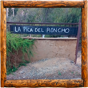 Cabañas Elqui Paraiso