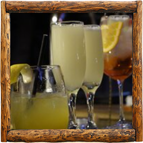 Cabañas Elqui Paraiso