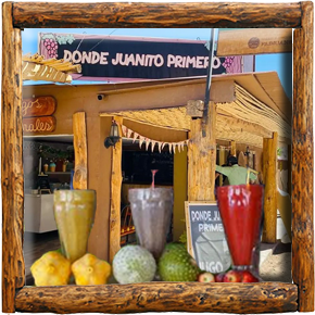 Cabañas Elqui Paraiso