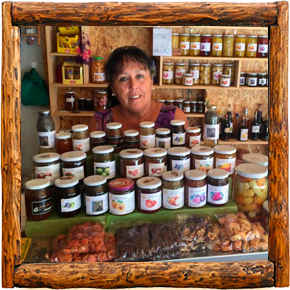 Cabañas Elqui Paraiso